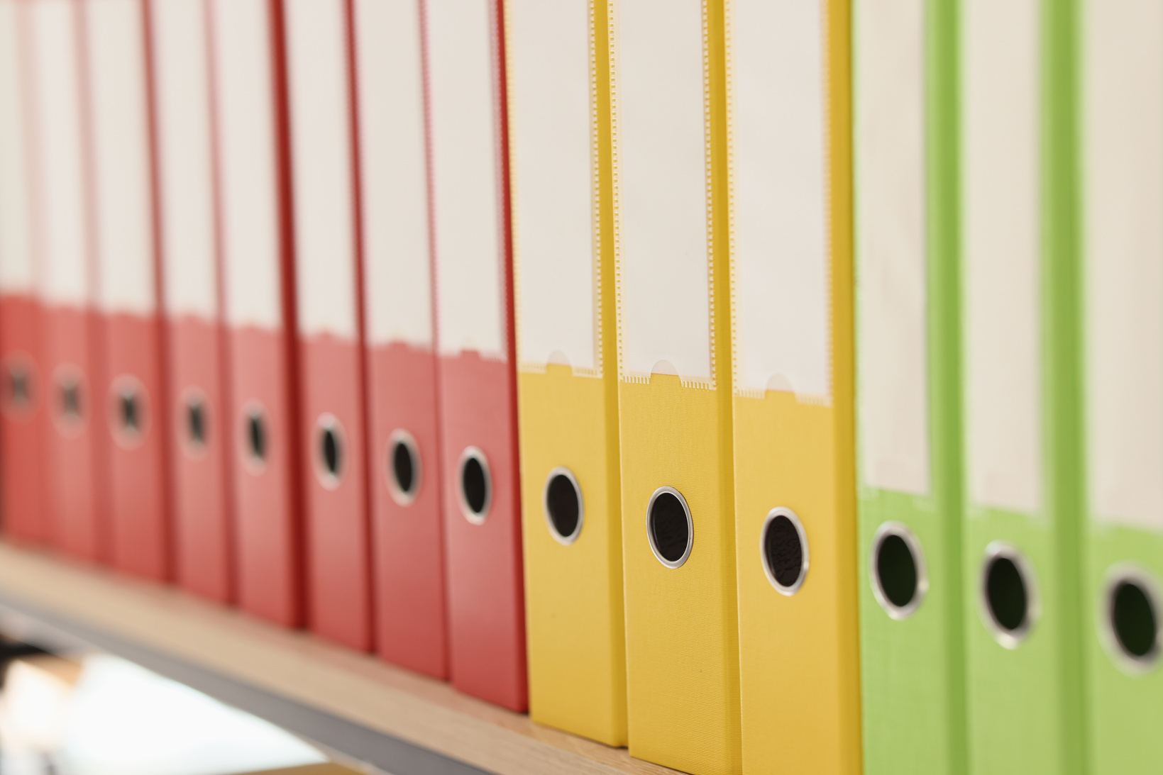 Organized Ring Binder Structure and Archive with Information